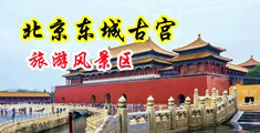 淫贱娇妻少妇中国北京-东城古宫旅游风景区